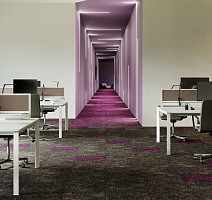 Contour Коллекция Perspective Perspective 848 фото 3 | FLOORDEALER